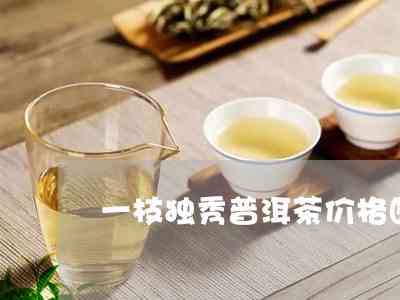 独秀普洱茶