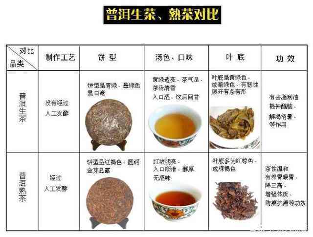 普洱茶的别：从外观、香气到口感，轻松分辨熟茶与生茶的秘密