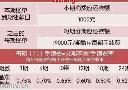 信用卡4万分期12个月：详细的每月还款金额计算及方案分析