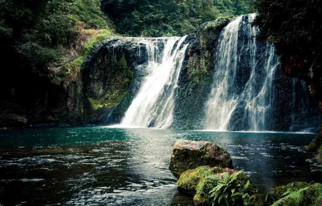 绿色方圆普洱2010:生态茶乡的复兴之路与未来展望