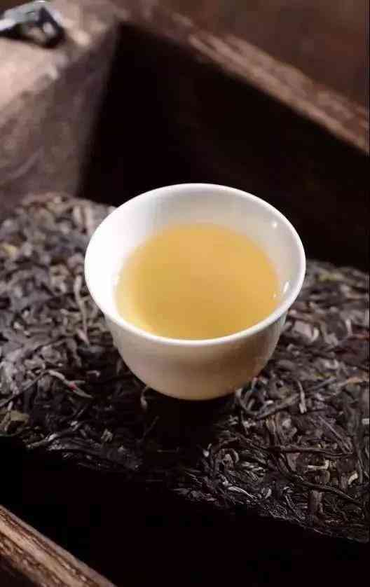 探索忙肺普洱茶：独特魅力与品质档次分析