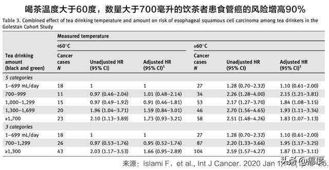 16岁女孩饮茶水的健效益与潜在风险：一项深入研究解析