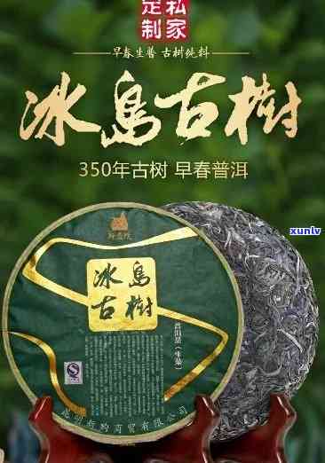 冰岛古树普洱茶生茶：独特风味与价格解析