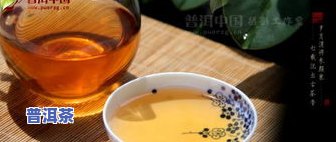 茯苓普洱茶：一款功效显著、禁忌须知的起泡饮品