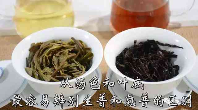 普洱茶阿清：阿朵与阿乐的普洱茶之旅