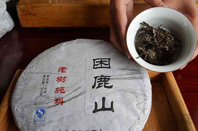 州最新普洱茶销售地点大全，包括各大商场、茶叶专卖店及网上商城等