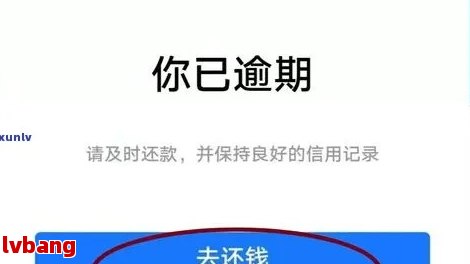 还呗额度失效原因分析：未逾期为何出现此情况？