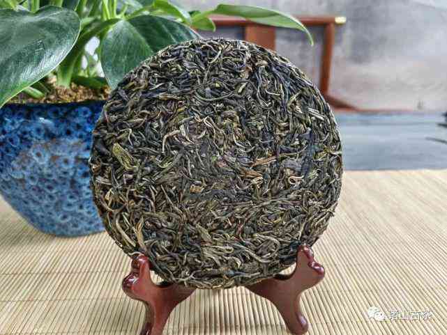 普洱茶起源于哪个朝代：探究普洱茶的历渊源