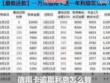 浦发信用卡还款日第三天还款算逾期吗怎么算利息？