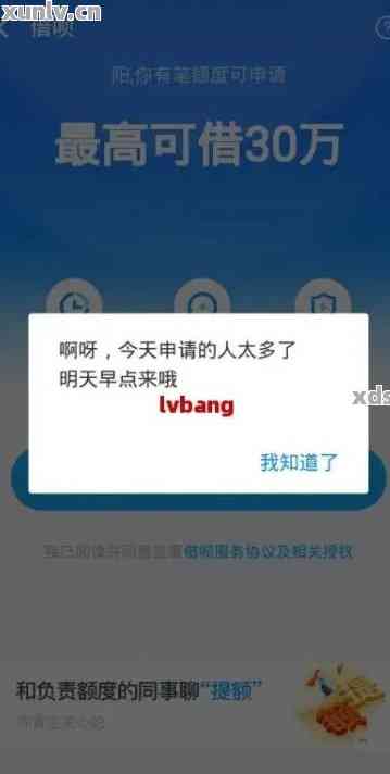 今天是借呗还款日，已还款的情况下能否再次借款？