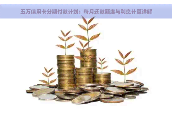 信用卡5万分24期每期还款金额计算与利息解析