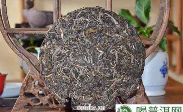 联普洱茶品质与口感如何：生茶好喝吗？