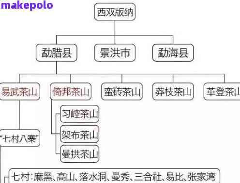 普洱茶分类详解：从不同工艺、产地到口感的全面解析