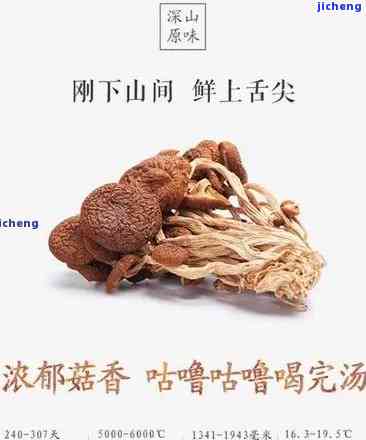 普洱茶中的菌类味道及其对健的影响：全面了解与品鉴技巧