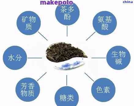 高碳水化合物与普洱茶的健效益：实测与分析