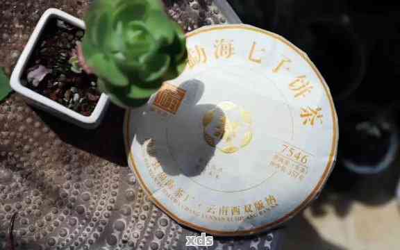 富华普洱茶：95年小七滋味口感，云南福华号茶业，文化交流公司