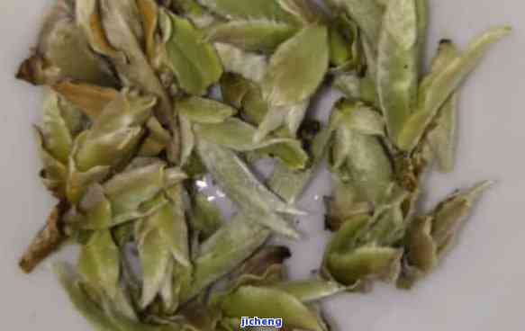 普洱茶芽苞饼的功效与作用及禁忌：探讨芽孢茶的特点与健益处