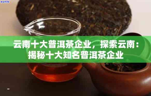 云南普洱市亿元茶叶：茶业领导者的成功之道