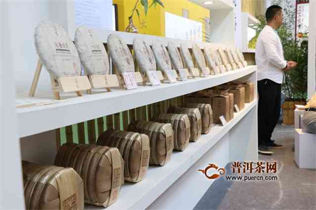 津桥普洱茶官方旗舰店：品茗、选购、了解普洱茶全方位指南