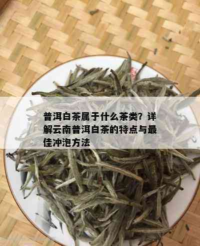 白芽普洱茶：品种特点、制作工艺与品饮技巧全面解析，助您成为普洱茶专家