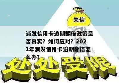 浦发信用卡没逾期时可以申请免息分期吗：安全真实性分析