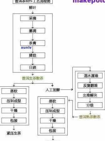 河内普洱茶：品种、制作工艺、品饮方法以及购买渠道全面指南