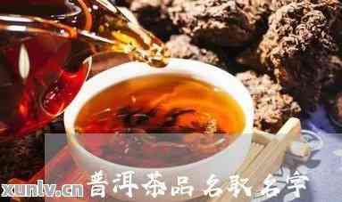 '最美普洱茶名字大全： 精选好听的普洱茶和普洱茶叶名字一览'