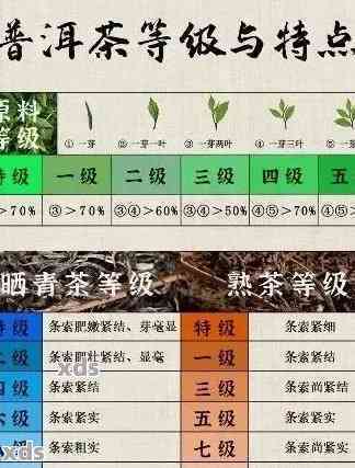 全面对比！普洱茶各大特色与口碑，助你轻松选购优质普洱茶