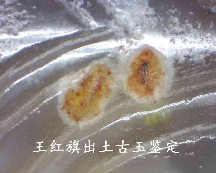 属兔的人适合佩戴哪些玉器？如何选择最合适的玉饰品？