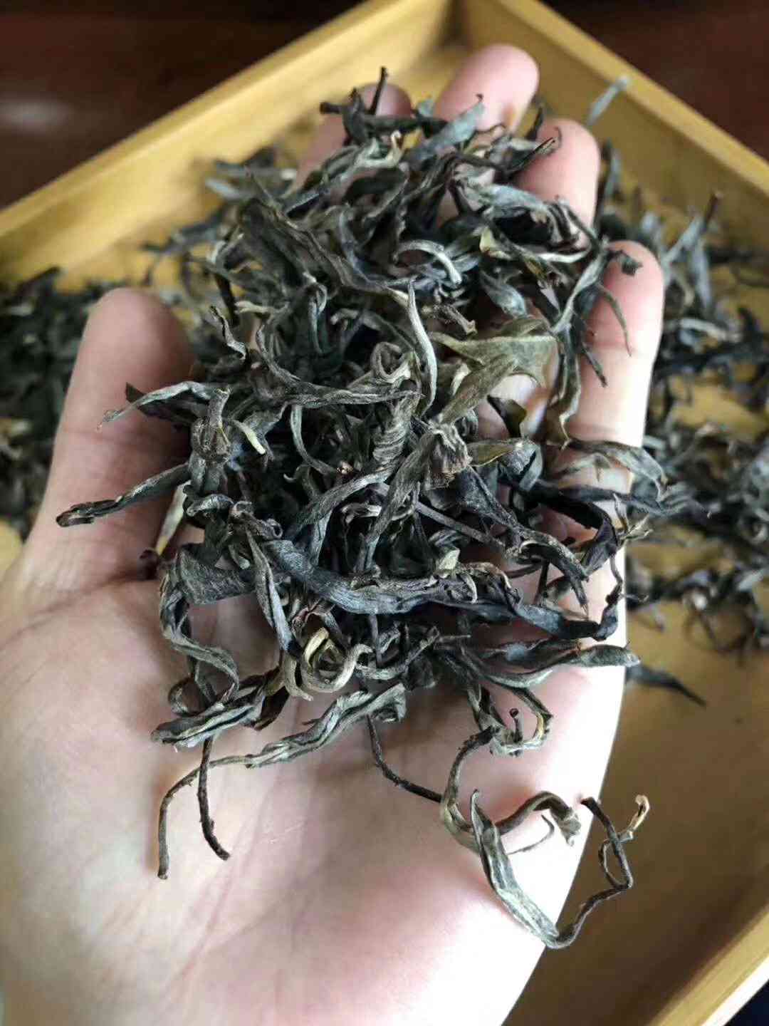 新普洱茶的完整制作过程详解，从采摘到品味全方位解析