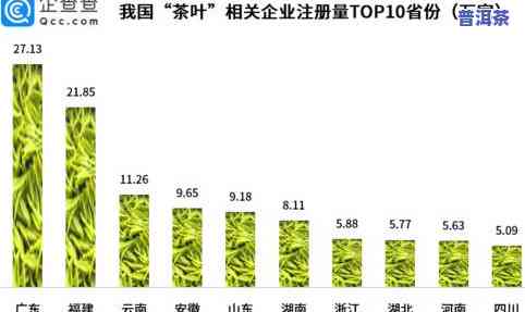 在中国市场中，有哪些上市公司专注于普洱茶叶产业？