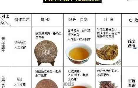 吉普洱茶：品种、口感、功效、冲泡与鉴别，一文全面解析