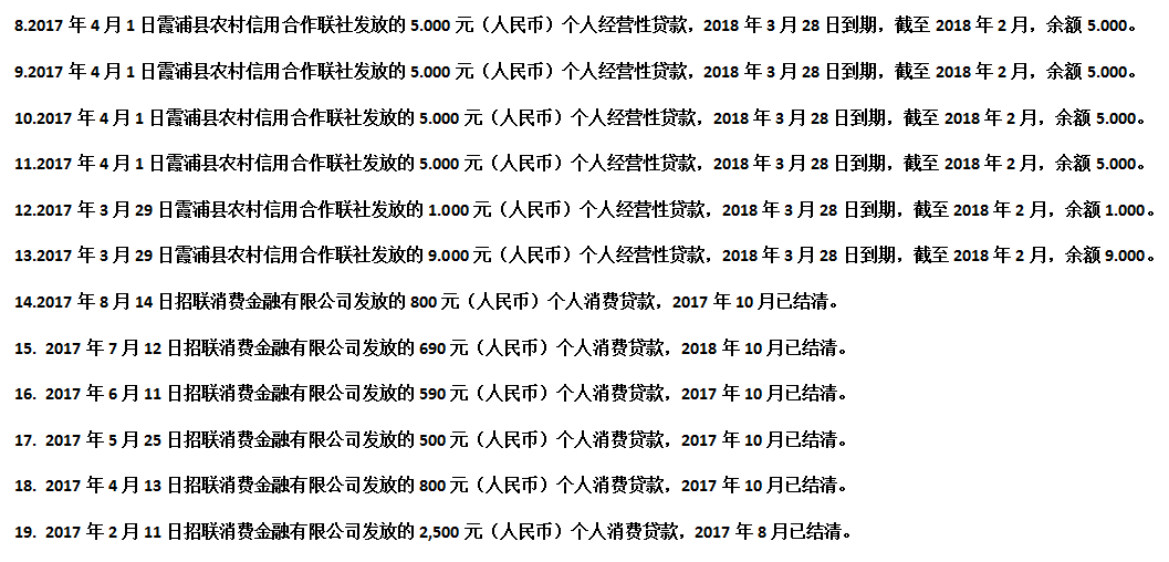 九笔网贷记录对政审影响：逾期与否的决定因素