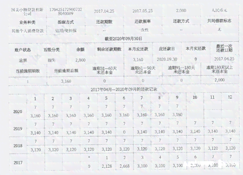 网贷记录众多但从未逾期，对购房贷款的影响及应对策略