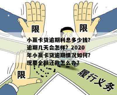 小赢贷卡还款时间限制：原因与解决方案全面解析