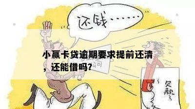 小赢贷卡还款时间限制：原因与解决方案全面解析