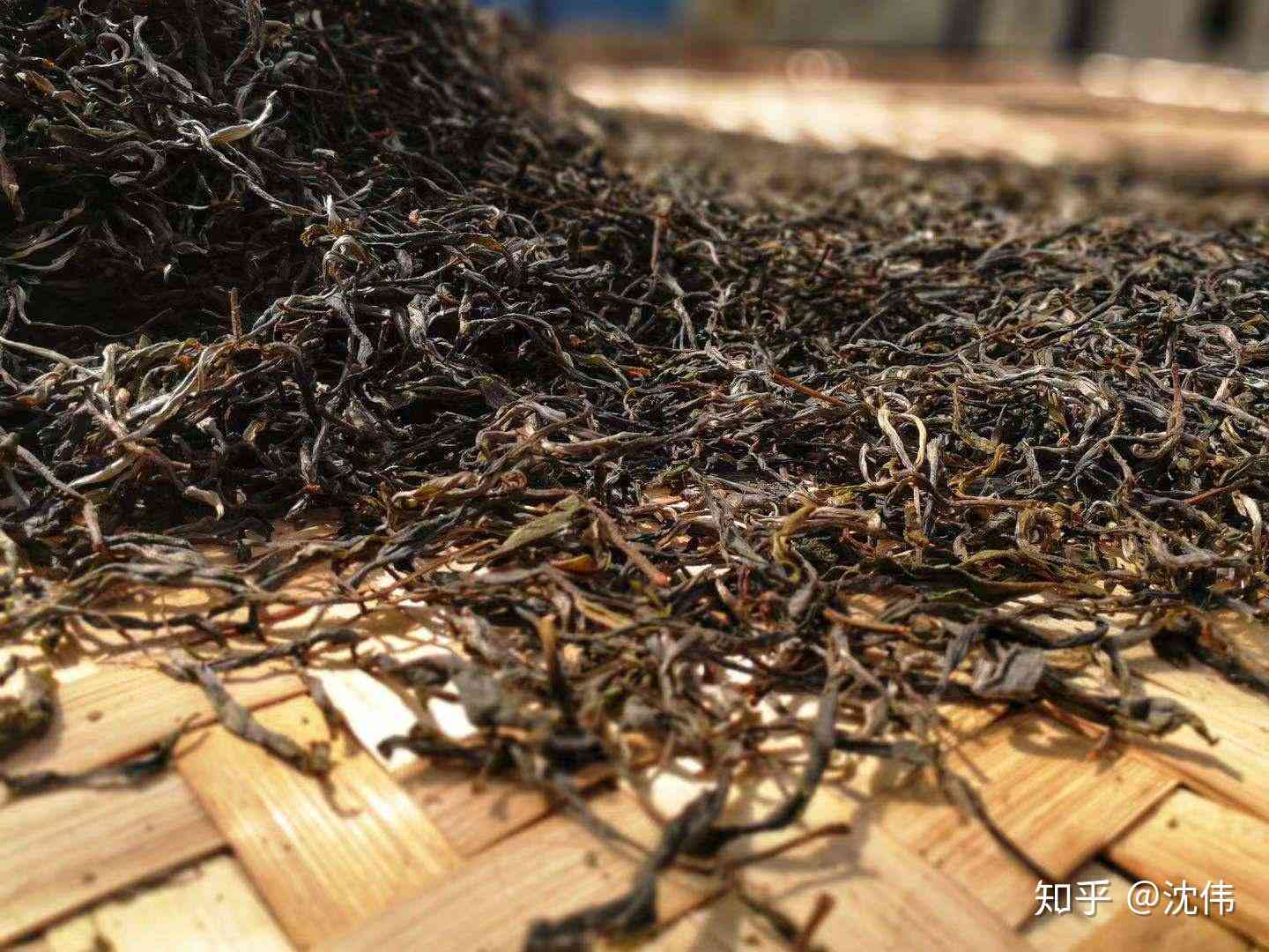 收藏级普洱茶推荐：品质越，值得囤货的茶叶一览