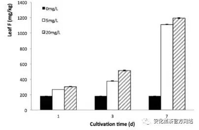 普洱茶中氟含量的研究及其对健的潜在影响