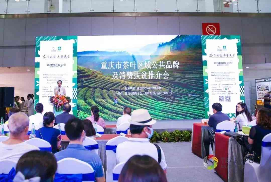 重庆渝信茶业：匠心独运的长城茶品