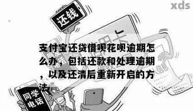 逾期需全额还款什么意思：理解借款逾期后的全额偿付原则