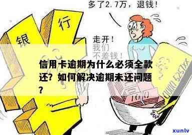 全额还款逾期：含义、影响及解决办法，全面解答您的疑惑