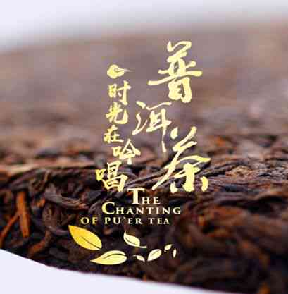 六万一斤的茶普洱茶推荐及特点解析：哪些牌子的茶值得购买？