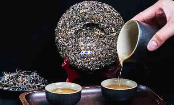 下关普洱茶珍藏系列：深度解析哪几款生茶值得投资与品鉴