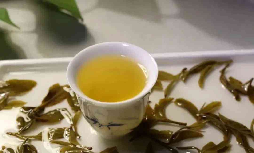 邦倚普洱茶