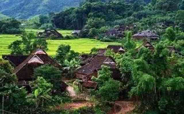 普洱茶介绍：云南特色，大师品质，西双版纳风土，棠梨山韵味