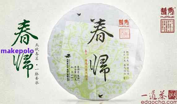 春意普洱茶价格及礼盒装 - 春亿浓茶，春意牌茶叶多种选择