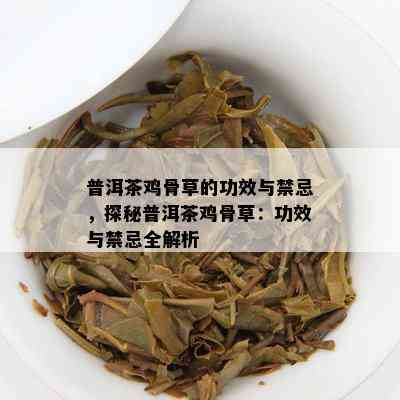 鸡骨草、普洱茶与泡茶的神奇组合：功效、制作与注意事项