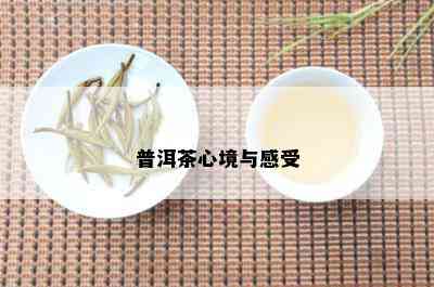 普洱茶心语