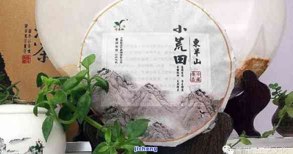 小荒田普洱茶生茶：品质、制作工艺、口感和购买指南，一站式解答您的疑问