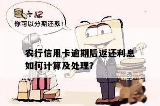 农行信用卡逾期还款，如何处理？